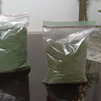 شوید خشک اعلا خانگی