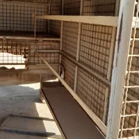 فروش باربندپیکان قفسه بندی شده
