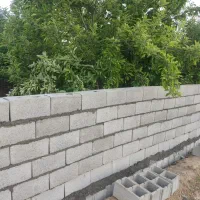 چهار دیواری درختی پشت سردخانه امیرآباد