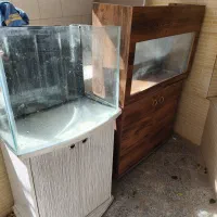 اکواریوم آب شیرین و آب شور