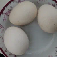 تخم مرغ محلی اصل