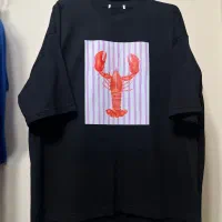 چاپ هرعکسی که بخوای رو تیشرت|لباس|رشت, امین الضرب|دیوار