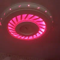 اجرای گچ کاری