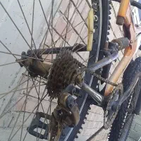 دوچرخه دنده ای|دوچرخه، اسکیت، اسکوتر|کهنوج, |دیوار