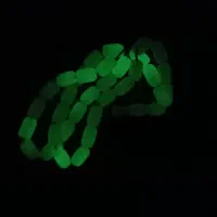 تسبیح شب نما|کلکسیون اشیاء عتیقه|اقبالیه, |دیوار