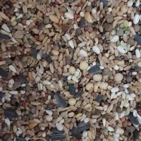 خوراک دام وطیور.و..|لوازم جانبی حیوانات|سیرجان, |دیوار