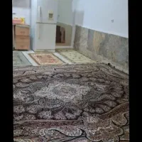 سوئیت-ساعتی-روزانه