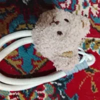 بند زیبا برای گوشی