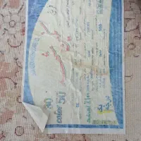 دو عدد فرش ۹ و ۱۲ متری
