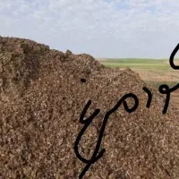 حمل بار با خاور|خدمات حمل و نقل|ایرانشهر, |دیوار