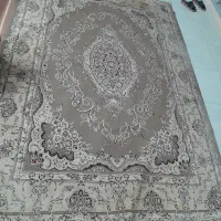 فرش ۶ متری|فرش|شیراز, آزادگان|دیوار