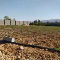 زمین مناسب باغ گلخانه دامداری تفیهان‌ تیون