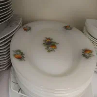 دیس گل میوه