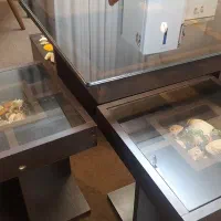 میز شیشه ای پذیرایی|مبلمان خانگی و میز عسلی|اندیشه, شهرک مریم|دیوار