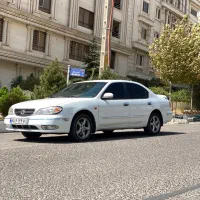 ماکسیما