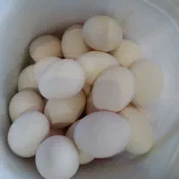 تخم مرغ محلی