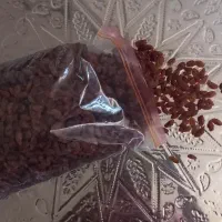 کشمش،سبز و آفتابی|خوردنی و آشامیدنی|کاشمر, |دیوار