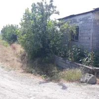 زمین فروشی ، لهرم تلوک مازندران|فروش زمین و ملک کلنگی|ارطه, |دیوار