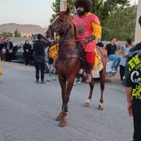 نریان عرب