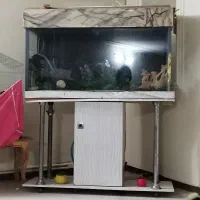 آکواریوم کاملا سالم