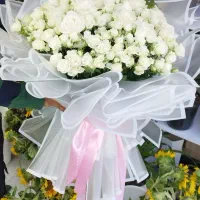 رز مینیاتوری ۷۹۰