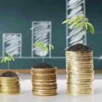 مشارکت در کار با درآمد همیشگی و قطعی