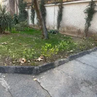 300-متر-کلنگی-موقعیت-اداری-در-قلهک-فروشی