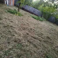 علف تراشی با دستگاه و سم پاشی|خدمات باغبانی و درختکاری|سنگر, |دیوار