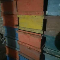 مقداری بدنه ونیم طبق وکندوی خالیه زنبور عسل