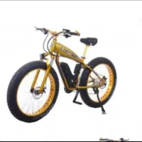دوچرخه برقی حرفه ای زیر قیمت