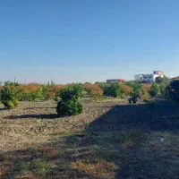 فروش زمین مسکونی|فروش زمین و ملک کلنگی|طبقده, |دیوار