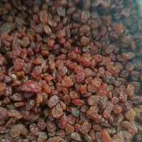 کشمش پلویی