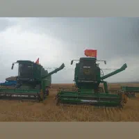 گندم بوجاری شده ۲تن