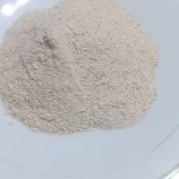 هات چاکلت ماسالا