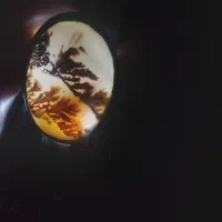 انگشتر نقره شجر اصل