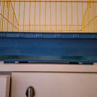 قفس|لوازم جانبی حیوانات|کرج, فاز ۱ مهرشهر|دیوار