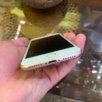 iphone 8|موبایل|تهران, شکوفه|دیوار