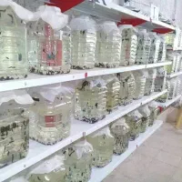 فروش زالو