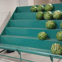 استند میوه و یخچال