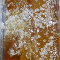 عسل طبیعی|خوردنی و آشامیدنی|شهریار, دهشاد بالا|دیوار