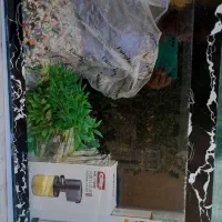 آ کو ا ر یو م