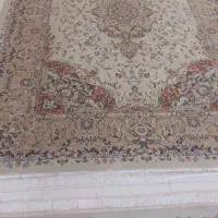 فروش فرش|فرش|رشت, بلوار گیلان|دیوار