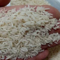 برنج هاشمی و طارم هاشمی|خوردنی و آشامیدنی|تهران, جنت‌آباد جنوبی|دیوار