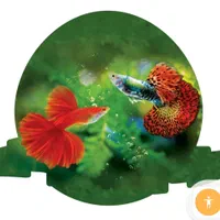 فروشگاه آکواریوم دریا