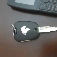 سوییچ دنا گم کردم