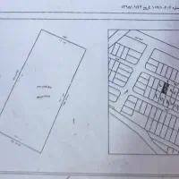 زمین حرم سند تک برگ