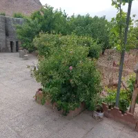 باغ-650-متری-زیباشهر