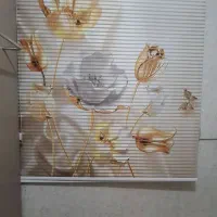 پرده زبرا ۲ مکانیزمه