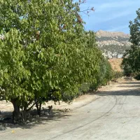 فروش زمین شهرک شهرداری