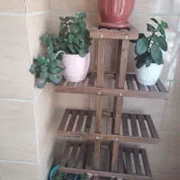 استند گل چوبی|کتابخانه، شلف، قفسه‌های دیواری|مشکین‌دشت, |دیوار